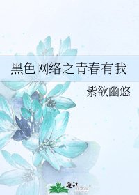 《黑色网络之青春有我》