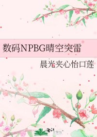 《数码NPBG晴空突雷》