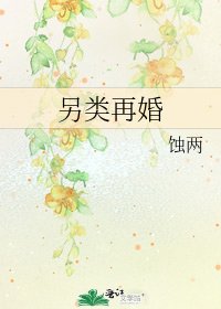 《另类再婚》