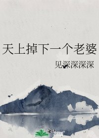《天上掉下一个老婆》