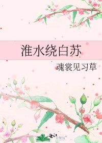 《淮水绕白苏》