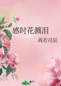 《感时花溅泪》