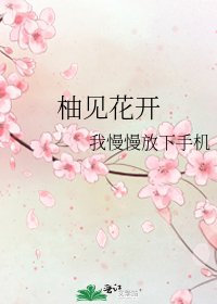 《柚见花开》