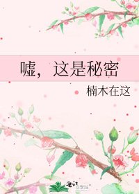 《嘘,这是秘密》