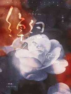 《绰约》