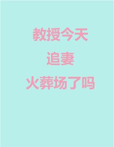《教授今天追妻火葬场了吗》