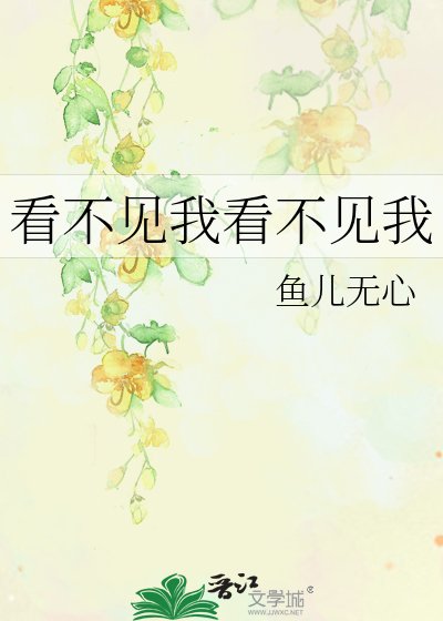 《看不见我看不见我》