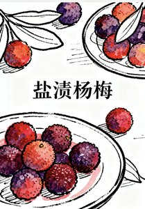《盐渍杨梅》