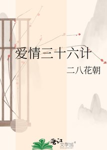《爱情三十六计》