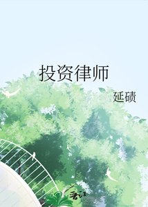 《投资律师》