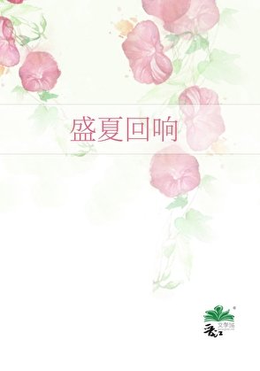 《盛夏回响》