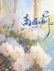 《离婚之前》