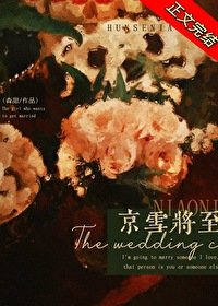 《京雪将至》