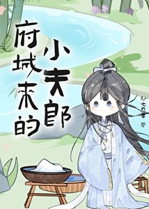《府城来的小夫郎》