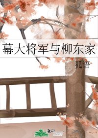 《幕大将军与柳东家》
