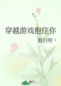 《穿越游戏抱住你》