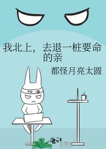 《我北上,去退一桩要命的亲》