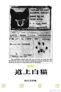 《道上白猫》