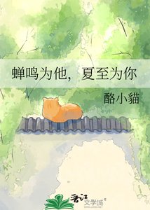 《蝉鸣为他,夏至为你》