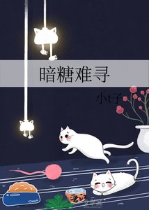 《暗糖难寻》