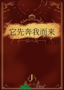 《它先奔我而来》