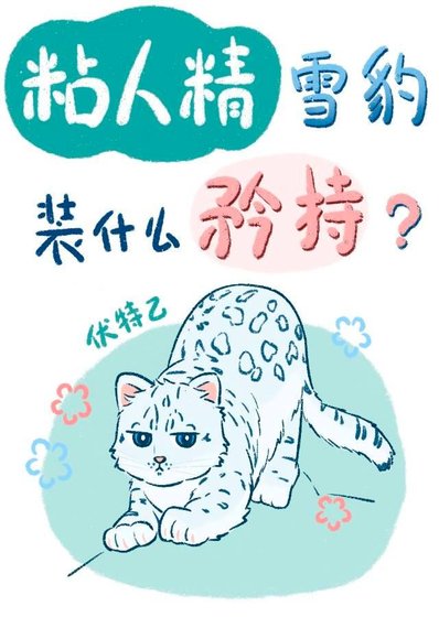 粘人精雪豹装什么矜持?
