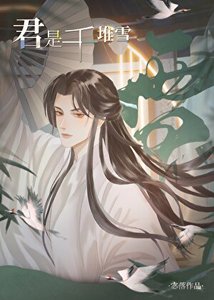 《君是千堆雪》