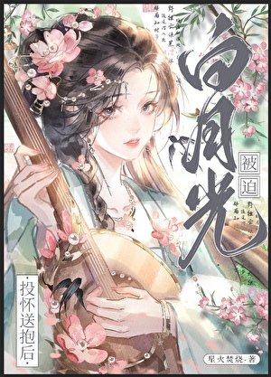 皎月入我怀