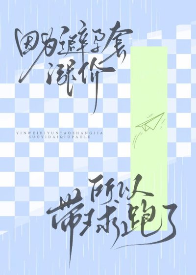 《因为避孕套价格飞涨所以带球跑了》