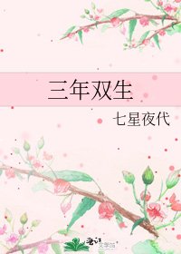 《三年双生》