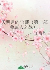 《天明月的宝藏(第一部 金属人之战)》
