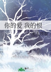 《你的爱 我的恨》