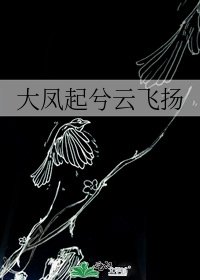 《大凤起兮云飞扬》