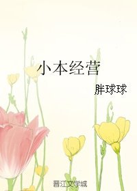 《小本经营》