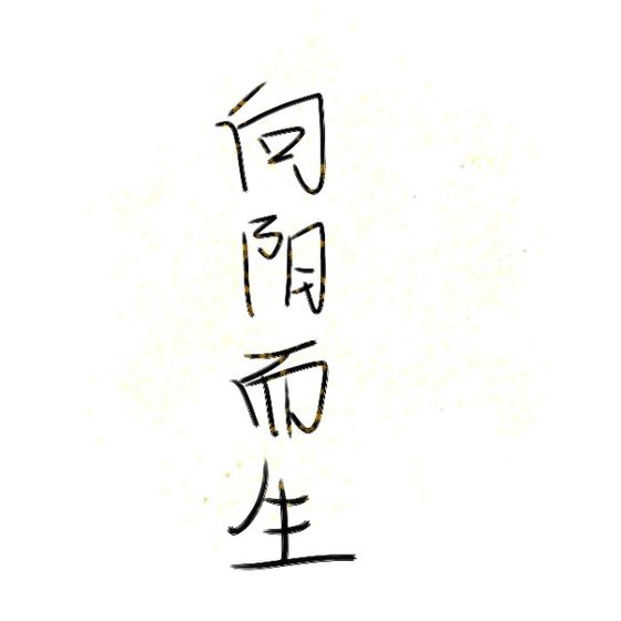 《向阳而生》