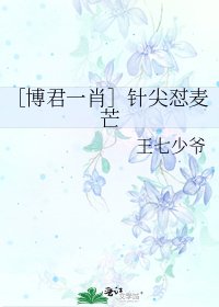 ［博君一肖］针尖怼麦芒