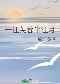 《一江芙蓉半江月》