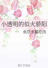 《小透明的似火骄阳》