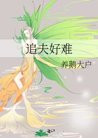 《追夫好难》