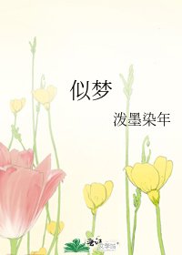 似梦