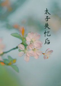 《丞相夫人失忆后》