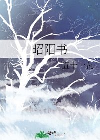《昭阳书》
