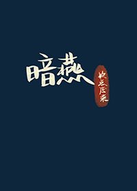 《暗燕》