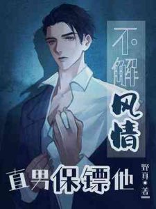 《直男保镖他不解风情》