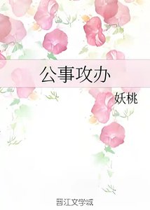 《公事攻办》