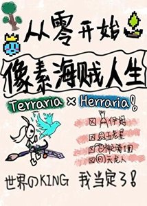 《从零开始的像素海贼人生》