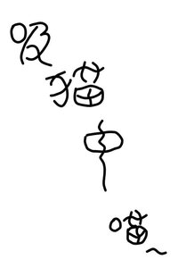 《偶遇猫猫拼尽全力无法抵抗》