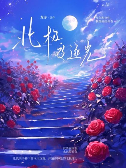 北极夜逐光