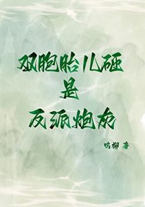《双胞胎儿砸是反派炮灰》