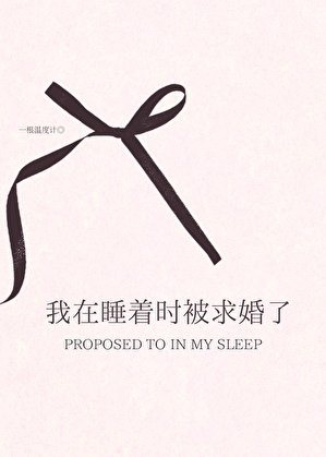 《我在睡着时被求婚了》